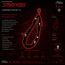 Load image into Gallery viewer, SKZ ‘STAY' BAG [EXTREMELY LIMITED EDITION] [PRE-ORDER]
