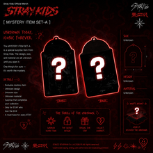 Load image into Gallery viewer, SKZ ‘STAY' BAG [EXTREMELY LIMITED EDITION] [PRE-ORDER]
